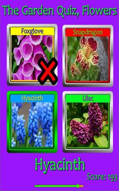The Garden Quiz: Flowers - Screenshot 1