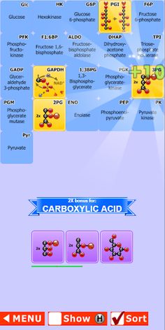 Glycolysis Match Game - Screenshot 4