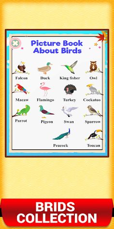 First Words Picture Dictionary - Screenshot 2