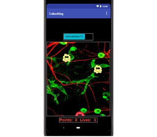 CollectKing - Screenshot 3