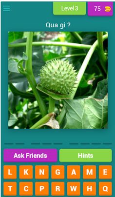 Đoán quả trái cây TV - Screenshot 4