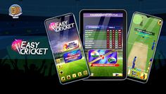 Easy Cricket: Challenge - Screenshot 1