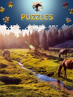 Horses Jigsaw Puzzles Free - Screenshot 2