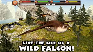 Falcon Simulator - Screenshot 2