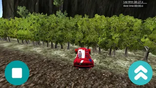 Race Nepal - Screenshot 2