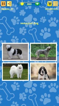 Dogs Quiz - Screenshot 2