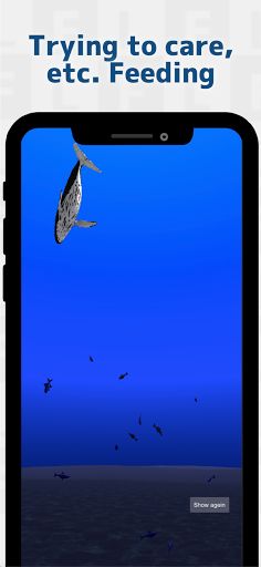 Whale training - Screenshot 4