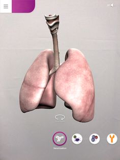 Allergic Asthma - Screenshot 4