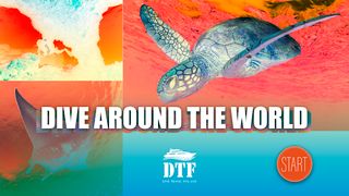 Dive Travel Finland - Screenshot 1