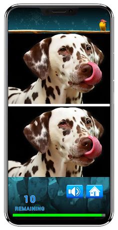 Find Image Difference - Screenshot 2