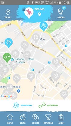 Snowdogs Discover Ashford - Screenshot 2