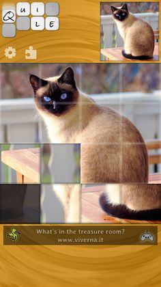 Quile - Screenshot 1