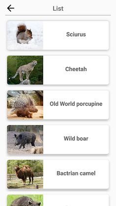 Mammals – Learn All Animals in - Screenshot 4