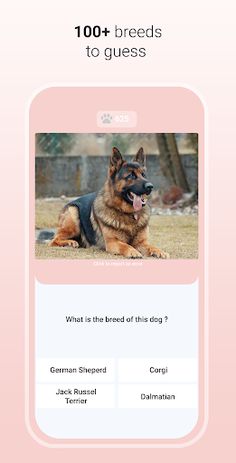 Quiz Dog - Guess the breed - Screenshot 1