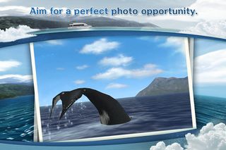 REAL WHALES Find the cetacean! - Screenshot 3