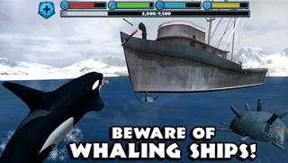 Orca Simulator - Screenshot 2