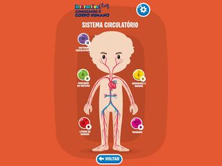 Conhecendo o Corpo Humano - Screenshot 2