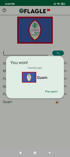 Flag Guess - Screenshot 4