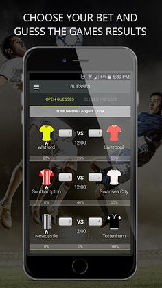 Euro Champ - Screenshot 4