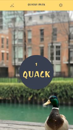 Quacky Duck - Screenshot 2