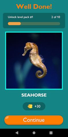 Guess The Sea Animal Game - Screenshot 4