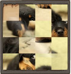 강아지 슬라이드 퍼즐 Cute Puppy Sliding - Screenshot 4