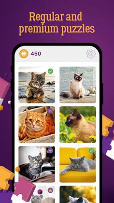 Jigsaw Craze Puzzles - Screenshot 2