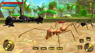 Wild Spider Tarantula Insect - Screenshot 2