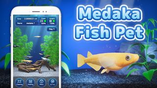 Medaka Pet - Screenshot 1