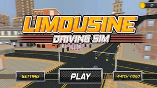 Limousine Driving Sim - Screenshot 1