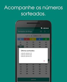 Sorteador de Bingo - Screenshot 3