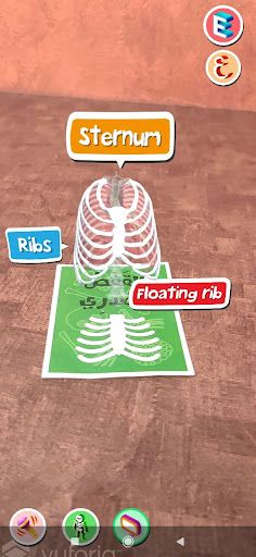 My Skeleton - هيكلي العظمي - Screenshot 4