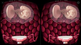 مراحل تطور الجنين - واقع افترا - Screenshot 2