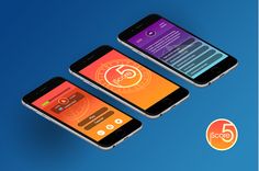 iScore5 AP U.S. Government - Screenshot 2