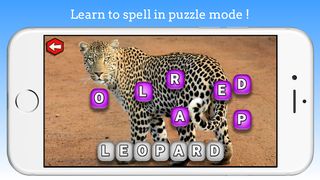 Flashcard Maker Pro - Screenshot 3