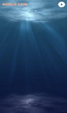 World Fish Survival - Screenshot 2