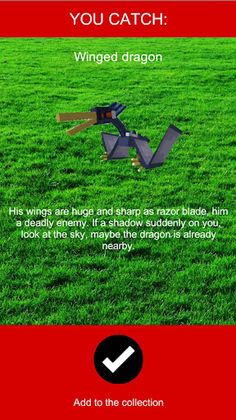 Catch Pocket Dragons - Screenshot 3