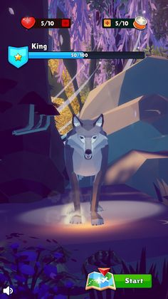 Animal Trainer 3D - Screenshot 1