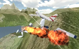 Airplane Emergency Landing - Screenshot 2