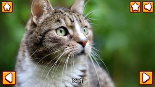 Animal friends in my hand - Screenshot 1