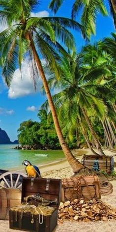 PohoduApp - Screenshot 3