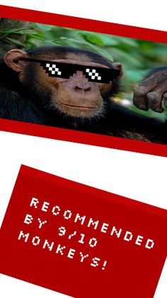 Ape Game - Screenshot 4