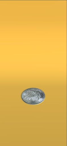 Coin Flip - Screenshot 1