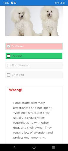 Dog quiz - identify the breeds - Screenshot 1