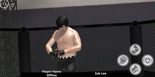 Ultimate Fighter Beast 22 - Screenshot 2