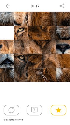 Jigsaw Animal Puzzles: Mosaic - Screenshot 4