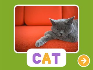 Square Panda Bowling - Screenshot 2