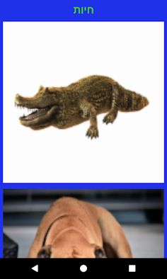 ללמוד אנגלית בכיף עם אריאל - Screenshot 2