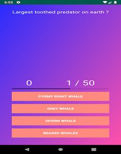 Online Quiz - Screenshot 2