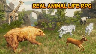 The Bear - Animal Simulator - Screenshot 1